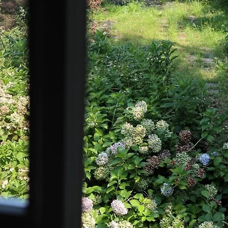 Natura Tra Bosco E Apartamento *