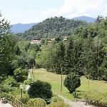 Natura Tra Bosco E *