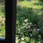 Natura Tra Bosco E Διαμέρισμα *