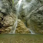 Natura Tra Bosco E Διαμέρισμα *