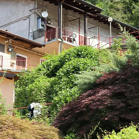 Natura Tra Bosco E Appartement