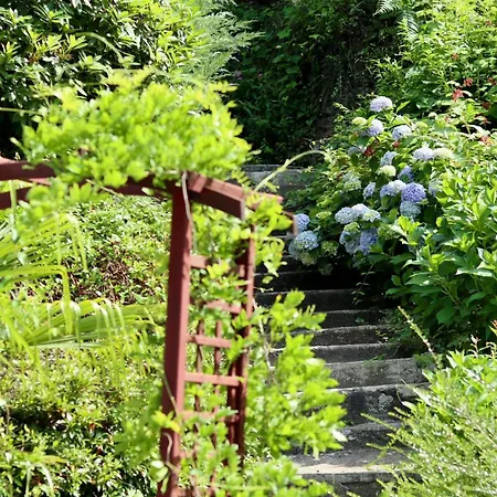 Natura Tra Bosco E Appartement *